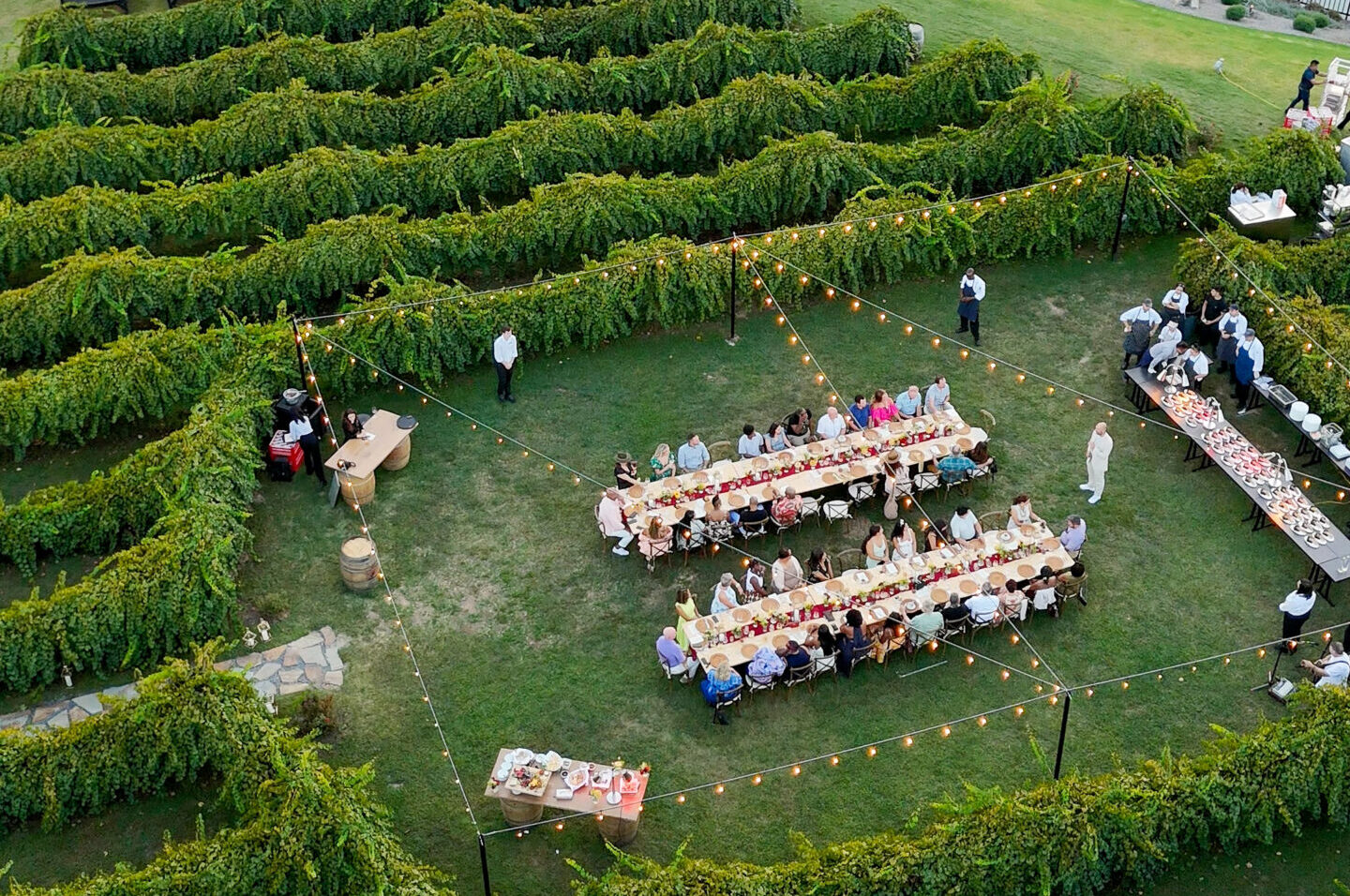 An aerial view of an outdoor dinner party in a vineyard. Long tables are set up between rows of vines, lit with string lights.