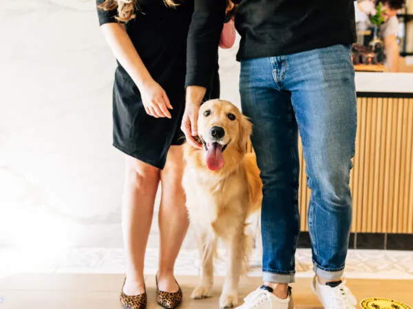 A golden retriever stands between the legs of two people, looking at the camera.