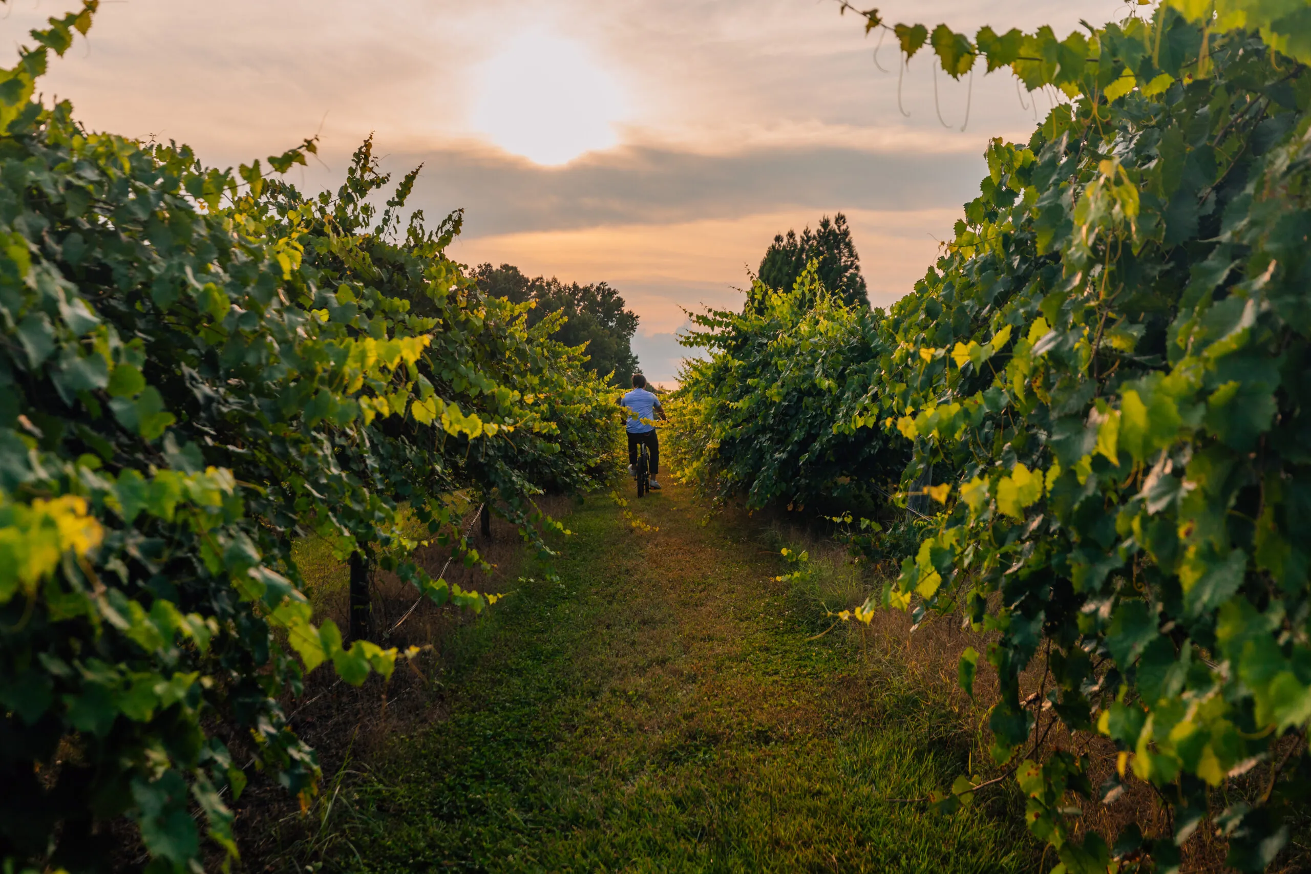 Condé Nast Traveler Readers’ Choice Awards 