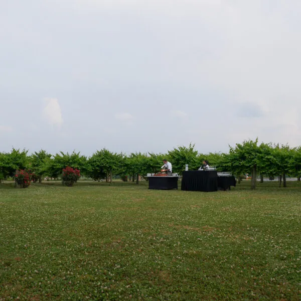 Outdoor event lawn with chairs