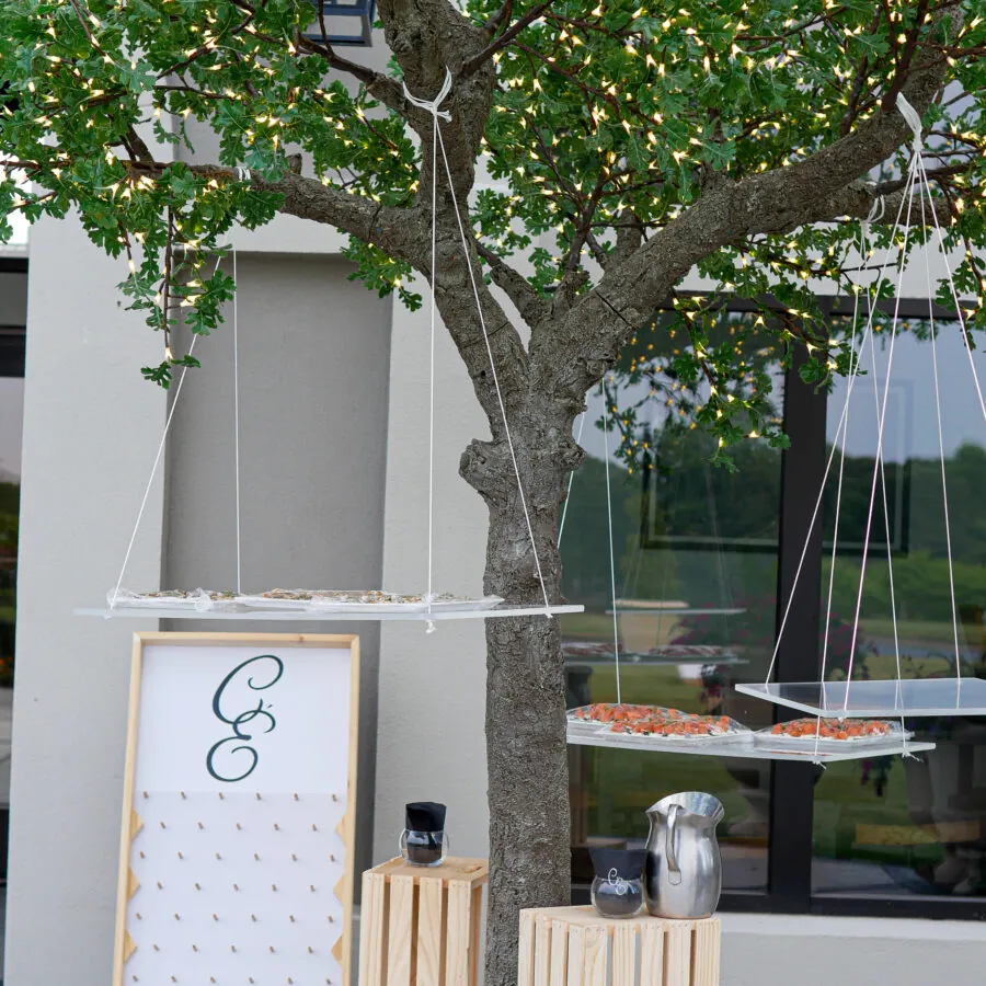 Outdoor tree with event setup nearby
