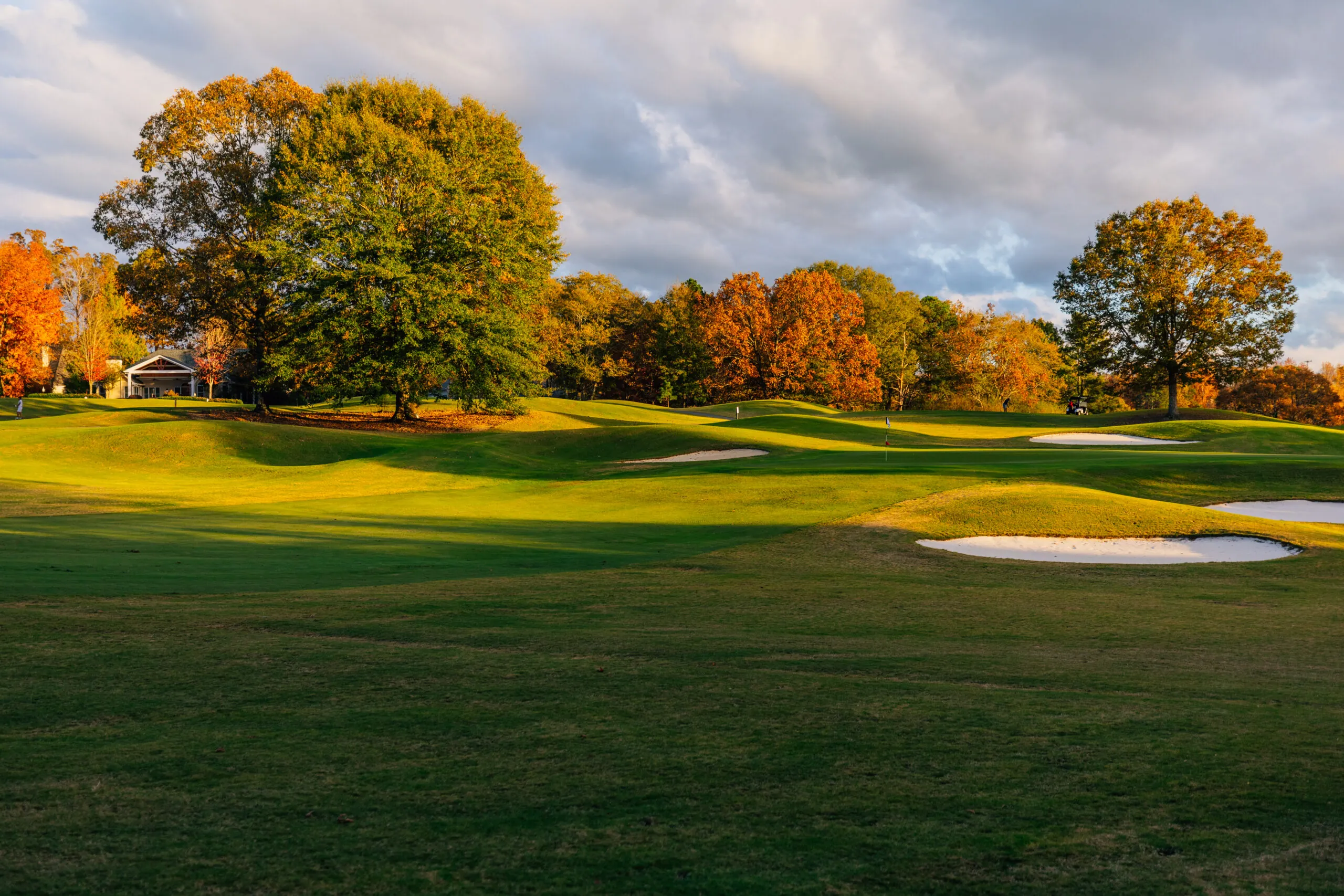 Golden Greens Package